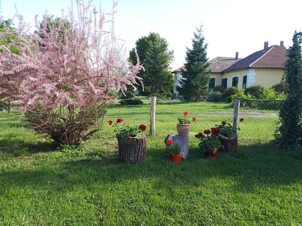 Véndektanya Vendégház Tapolca Esterno foto